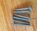Werner Abru 2 and 3 section Loft Ladder Hinge Guide Screws
